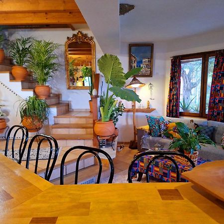 The Place By The Sun Milina Exterior photo